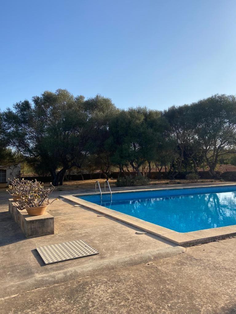 Sa Nau Agroturismo - Adults Only Over 16 Пуерто Колом Екстериор снимка